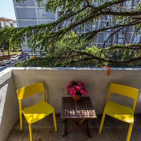 豪华mp公寓 扎达尔