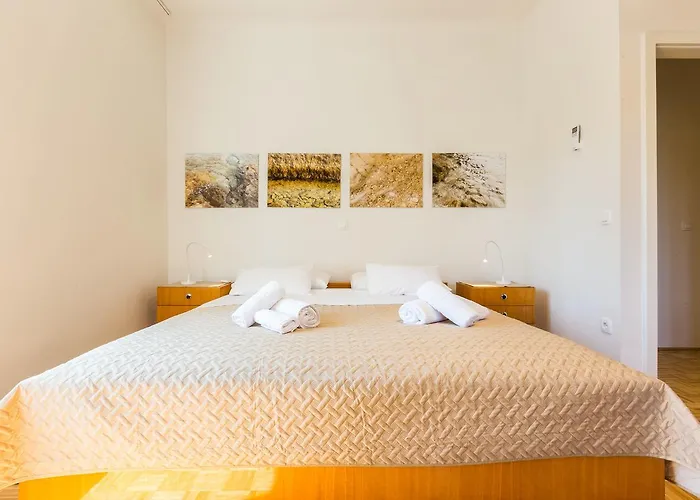 豪华mp公寓 扎达尔